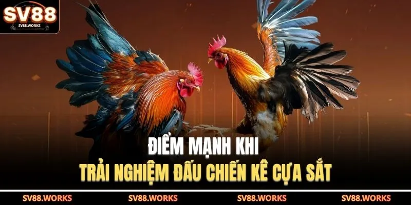 Đá Gà Cựa Sắt Tại SV88 – Tốc Độ Nhanh, Sát Thương Mạnh 4 Điểm mạnh khi trải nghiệm đấu chiến kê cựa sắt