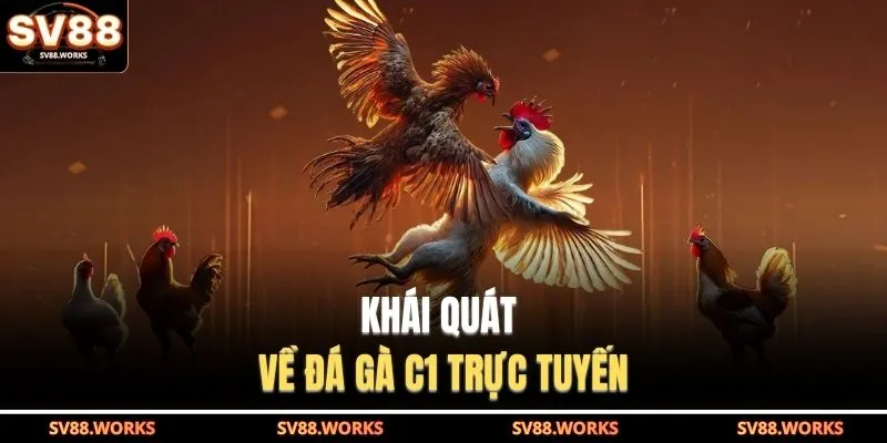 Đá Gà C1 | Điểm Hẹn Của Các Chiến Kê Hàng Đầu 2026 2 Khái quát về đá gà C1 trực tuyến