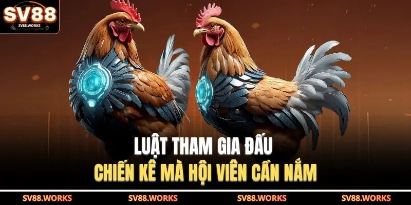 Đá Gà Cựa Sắt Tại SV88 – Tốc Độ Nhanh, Sát Thương Mạnh 3 Luật tham gia đấu chiến kê mà hội viên cần nắm